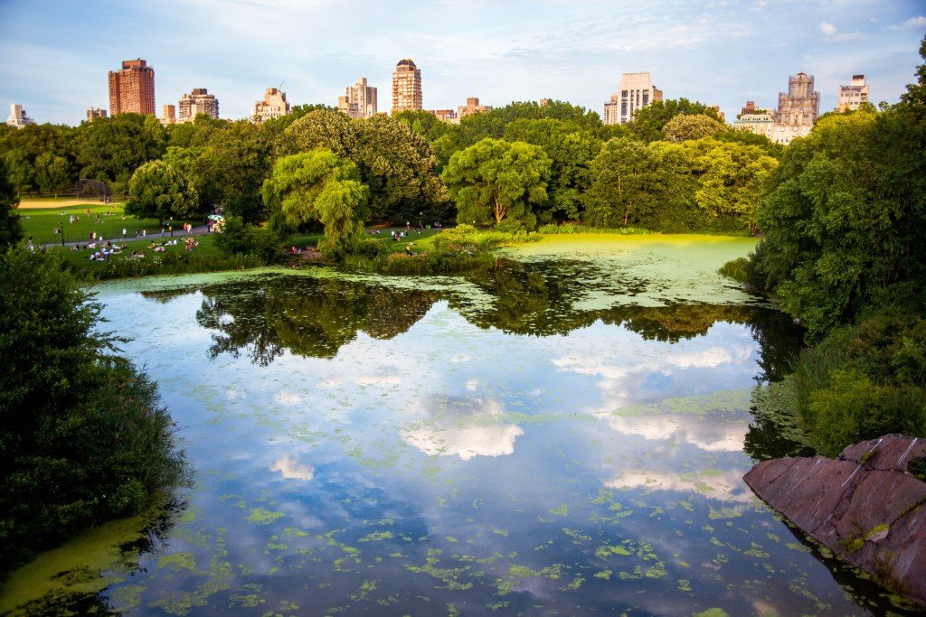 11 Reasons to Love Living in New York City