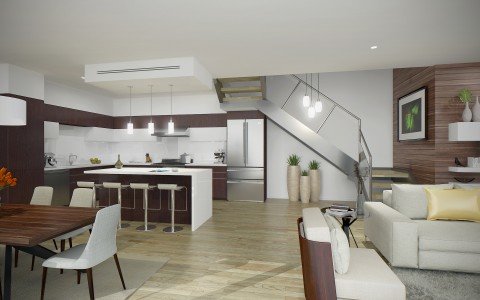 Pacific Star Living-Kitchen