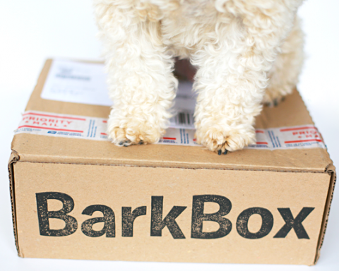 barkbox11